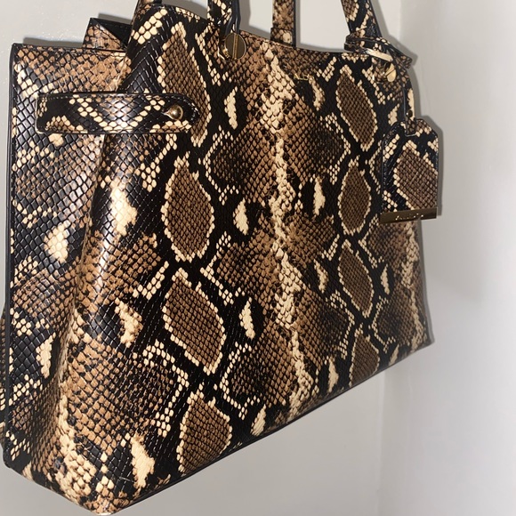 ALDO - Picture 2 of 5